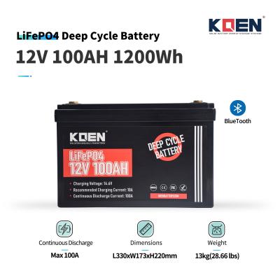 12v 100ah lithium iron phosphate battery